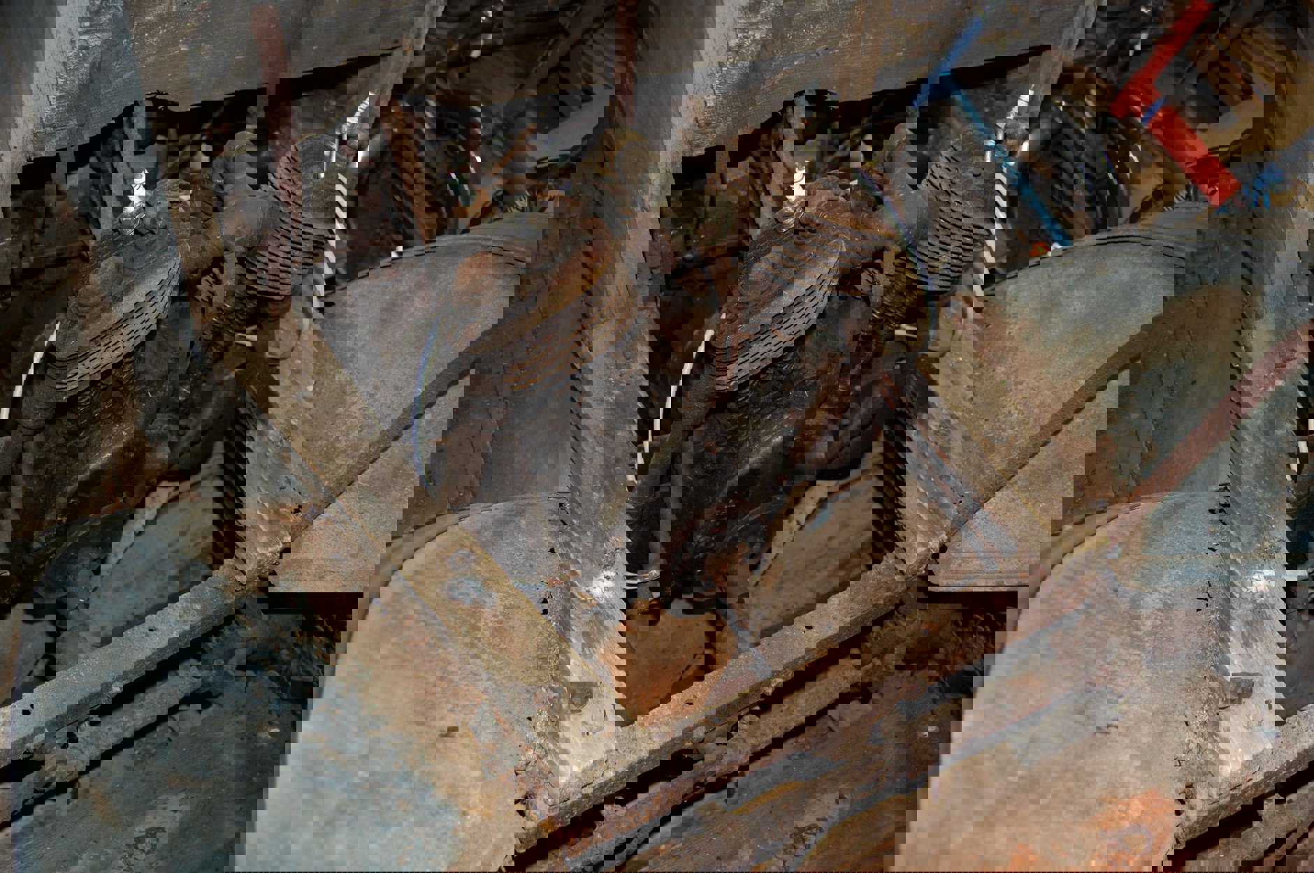 6 motor.jpg