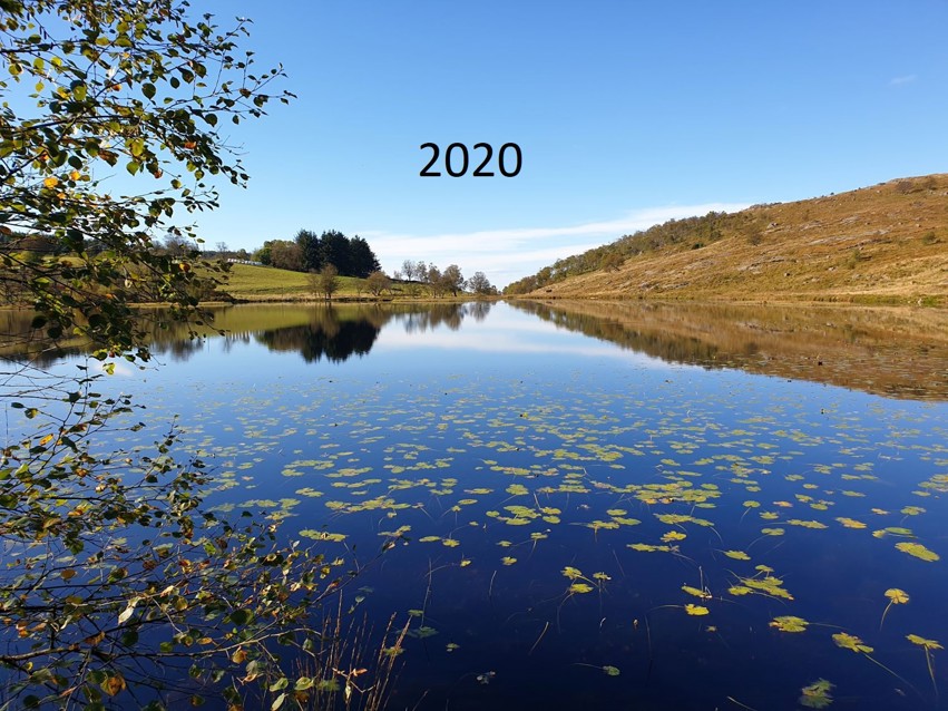 2020 Hva har skjedd?