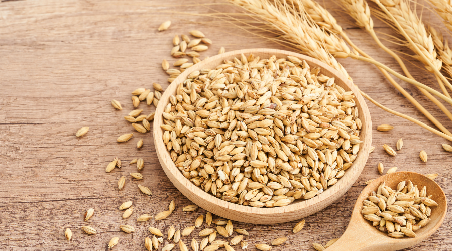 Glutenintoleranse: struktur, utvikling m.m.