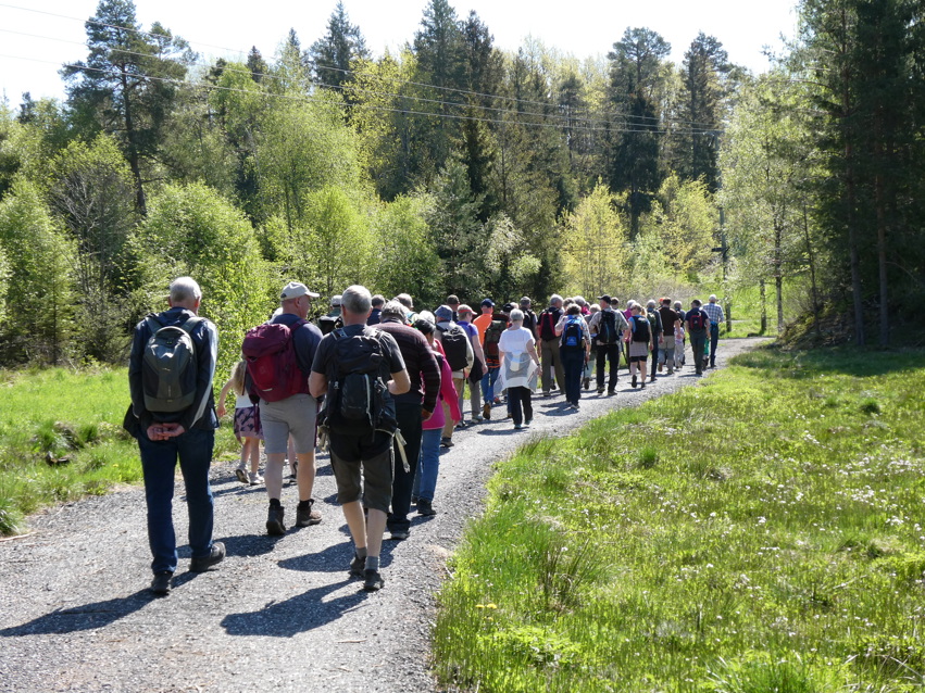 Vårtur 12.mai 