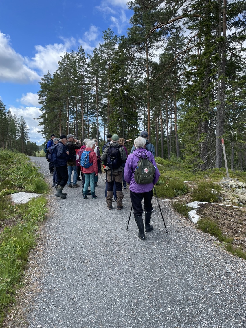 Fin tur i Hvamsåsen