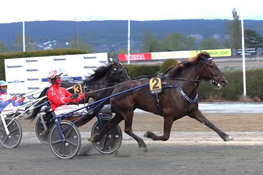 Poengstillingen i Veikle Balder Hoppecup 2024