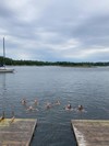 Artikkelbilde til artikkelen Grunnkurs havkajakk for medlemmer i Strand KK