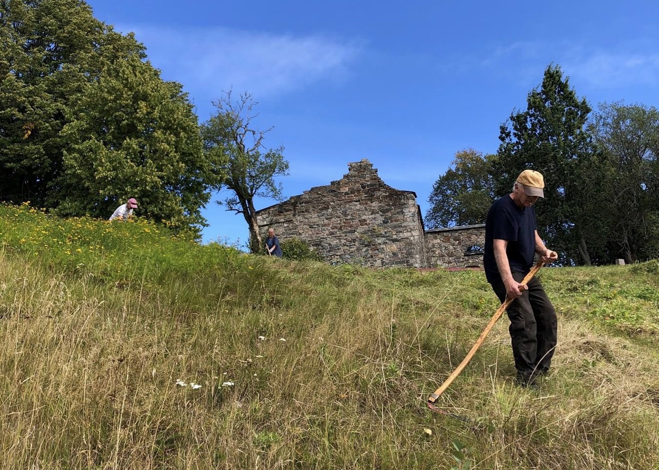 Slåttemarka på Nes kirkeruiner – bli med å slå med