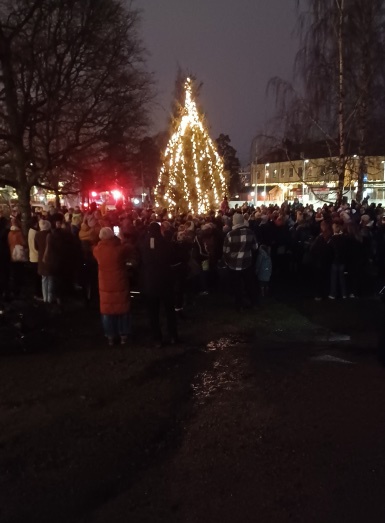 Juletre på Holtet med nye lys fra Bekkelaget Lions