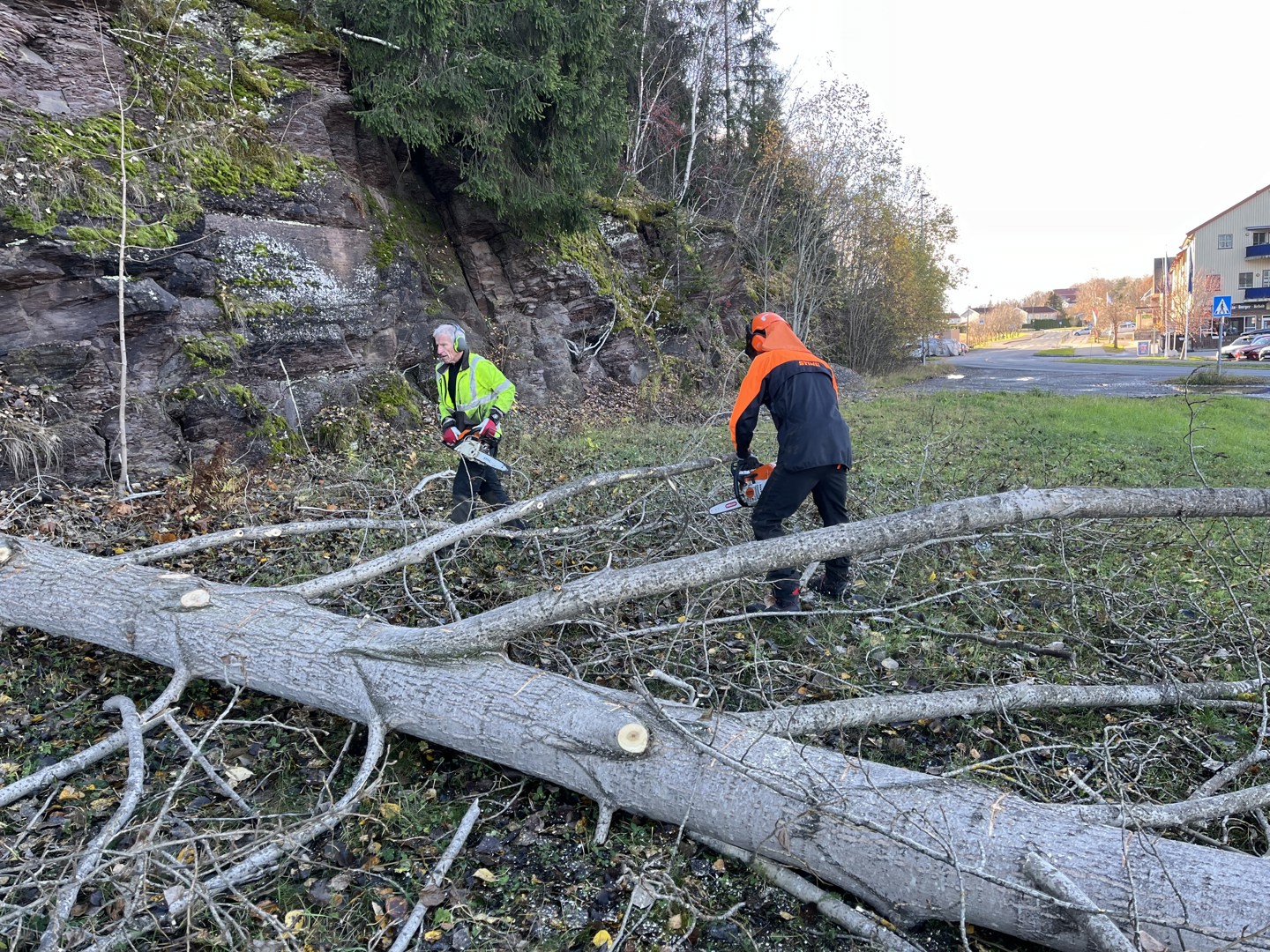 Rensk av vegetasjon på Vik