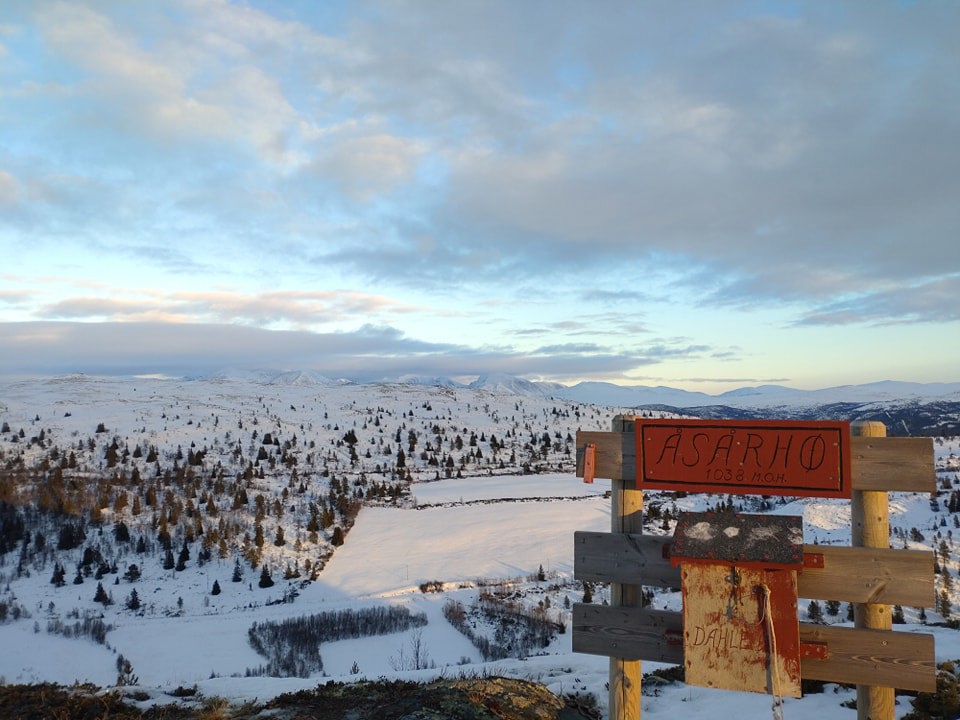 Årsmøte Dahle vel 2025