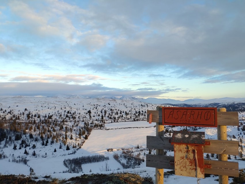 Årsmøte Dahle vel 2025