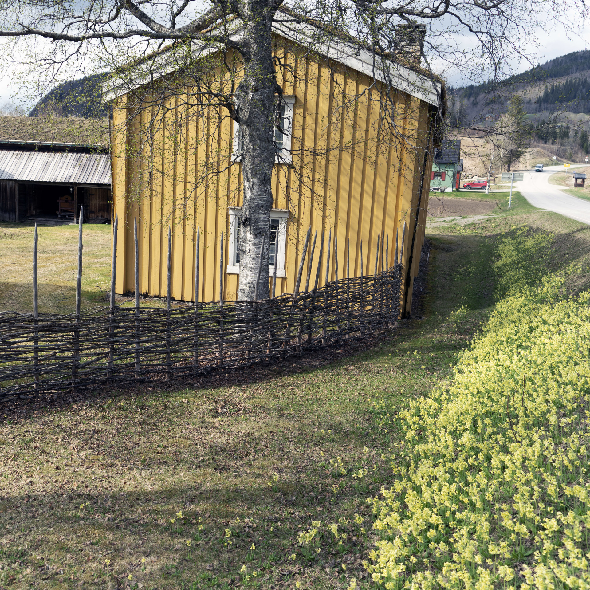 Svar og vinnere av årets rebuser