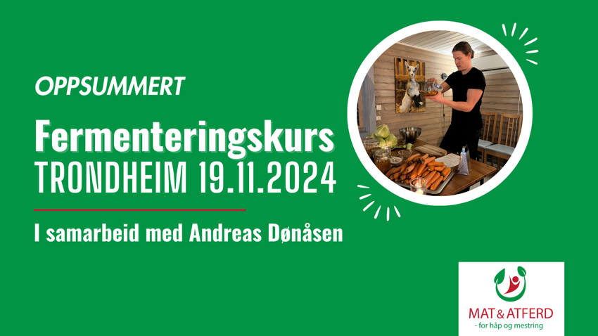 Oppsummert fermenteringskurs 19.11.2024