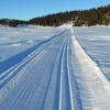 Artikkelbilde til artikkelen Orientering fra Liaåsen Hyttevel