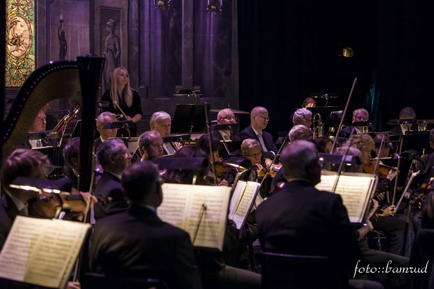 Konserter