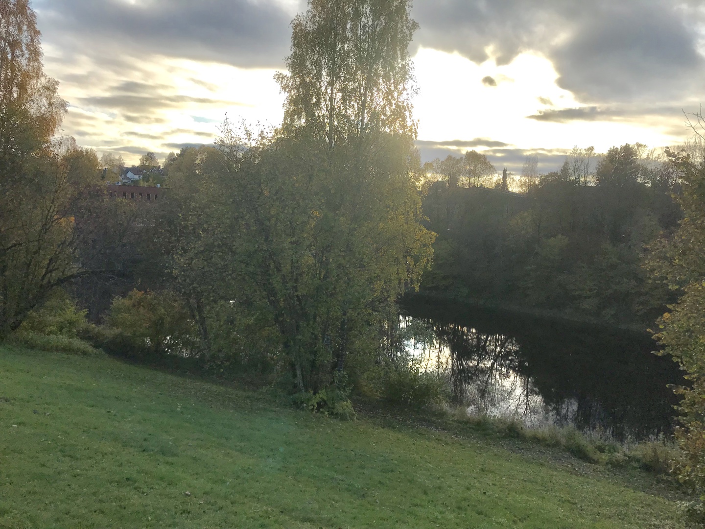 Dugnad for Grinidammen park 2. november 2019