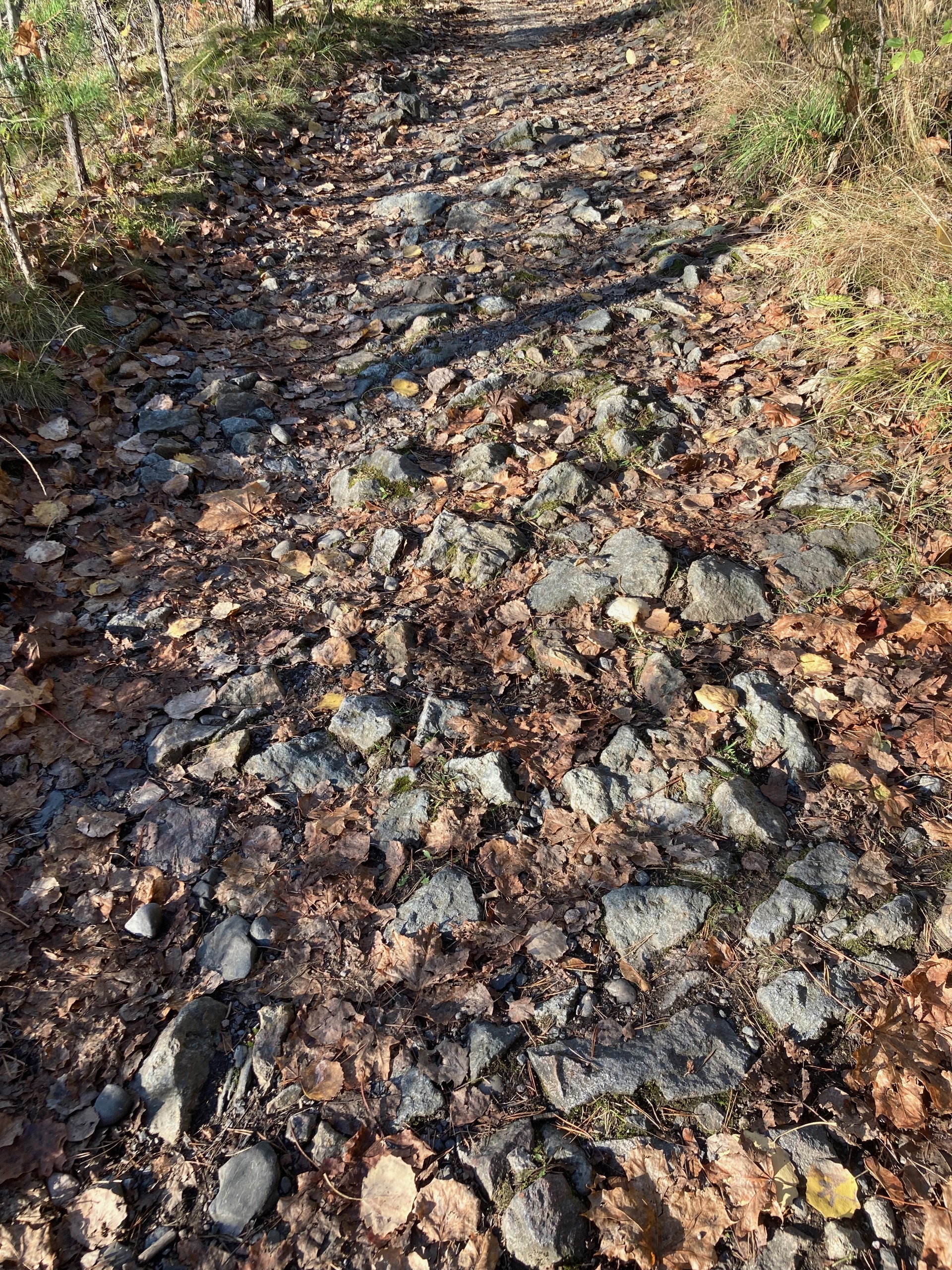 Ekebergskråningen og stiene i nærområde