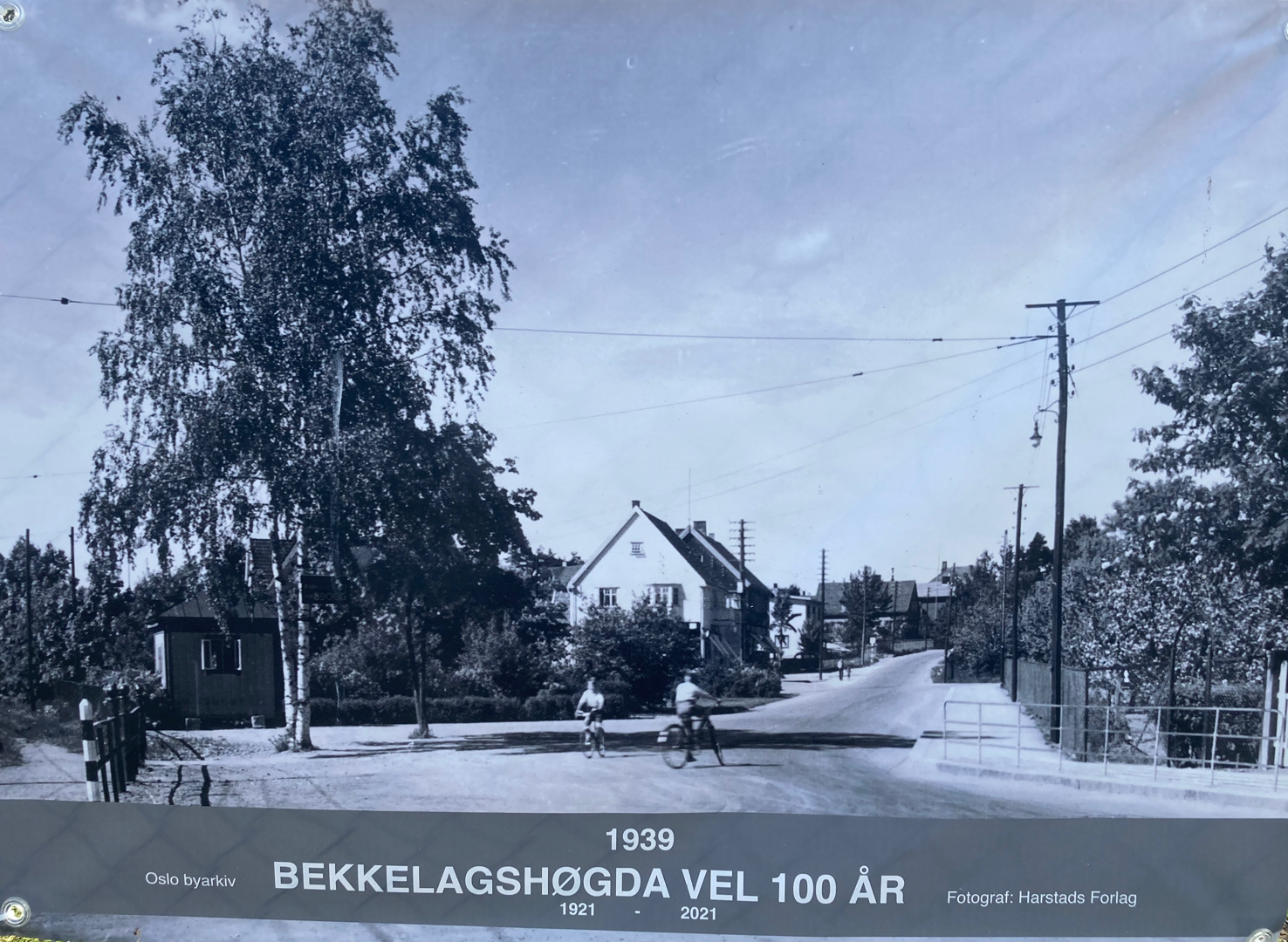 Vil du bli styremedlem?