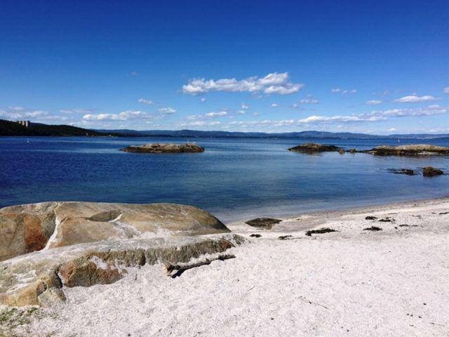 Artikkelbilde til artikkelen Årsmøte Nærsnes vel og Veilaget gamle Nærsnes