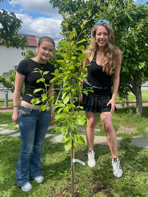 Artikkelbilde til artikkelen Alternativ Kulturvernpris til Morellbakken skole