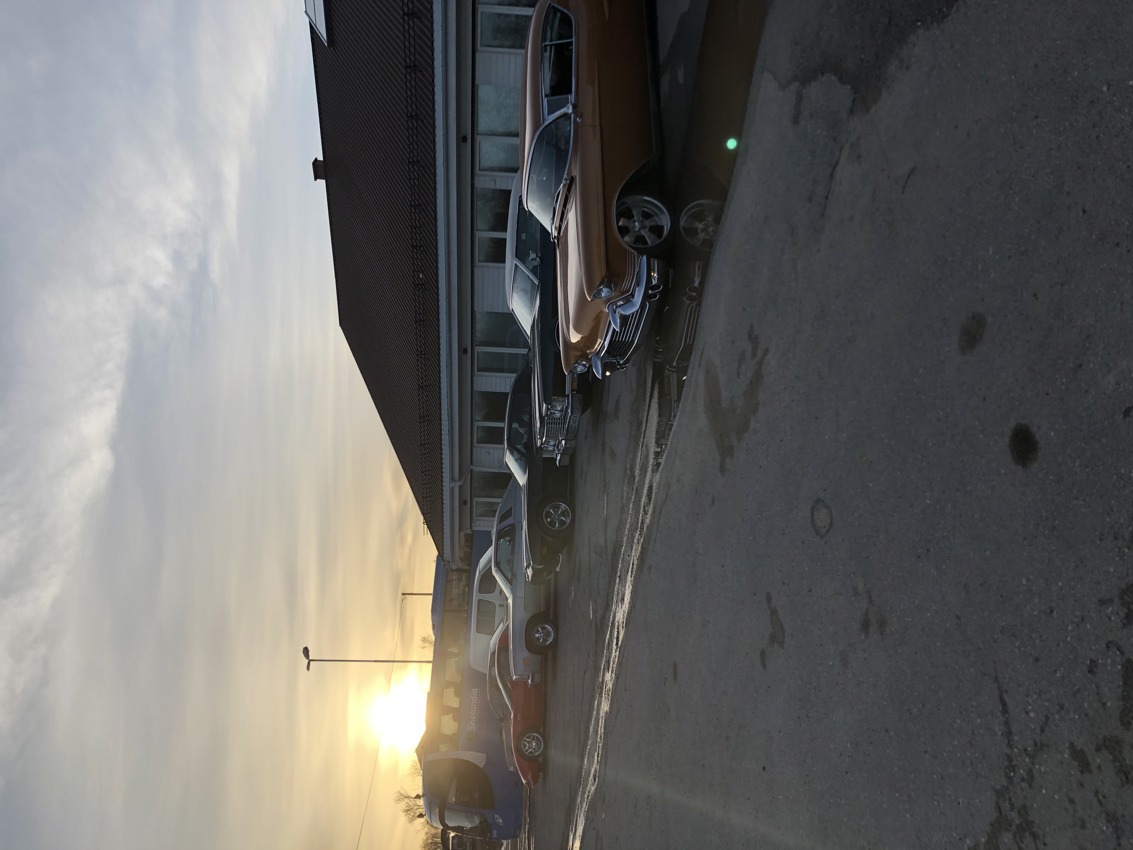  Kafe Cruise til Varangerbotn